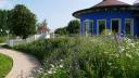 Wildblumenwiese im Garten des Haus der Kinder im Spessart