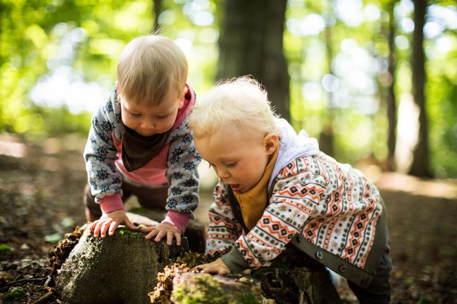 Zwei Krippenkinder untersuchen einen bemoosten Stein